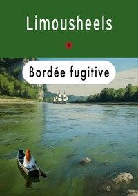 Bordée fugitive - Limousheels - E-Book