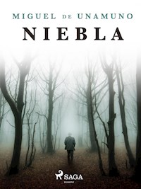 Niebla - Miguel de Unamuno - E-Book