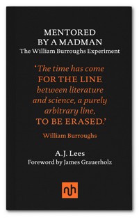 Mentored by a Madman - A.J. Lees - E-Book