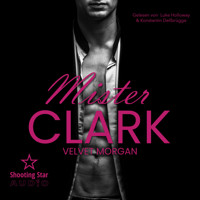 Mister Clark - Wounded Heroes, Band 4 (ungekürzt) - Velvet Morgan - Hörbuch