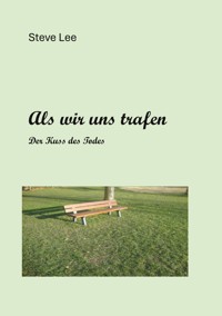 Als wir uns begegneten - Steve Lee - E-Book
