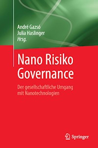 Nano Risiko Governance -  - E-Book