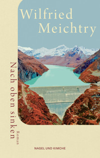 Nach oben sinken - Wilfried Meichtry - E-Book