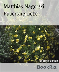 Pubertäre Liebe - Matthias Nagorski - E-Book