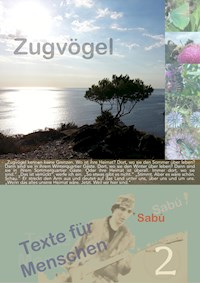 Zugvögel - Sabú Loewe - E-Book