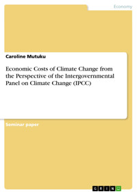 Economic Costs of Climate Change from the Perspective of the Intergovernmental Panel on Climate Change (IPCC) - Caroline Mutuku - E-Book