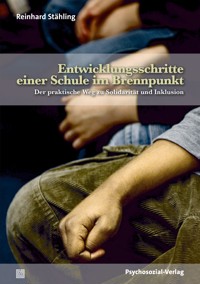Entwicklungsschritte einer Schule im Brennpunkt - Reinhard Stähling - E-Book