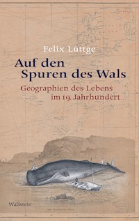 Auf den Spuren des Wals - Felix Lüttge - E-Book