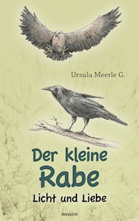 Der kleine Rabe - Ursula Meerle G. - E-Book
