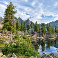 Лесная сага - Антон Алеев - Hörbuch