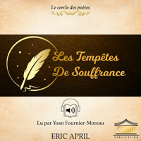 Les Tempetes de Souffrance - Eric April - Hörbuch