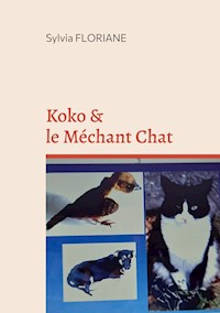 Koko et le méchant chat - Sylvia Floriane - E-Book