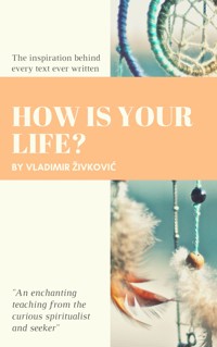 How Is Your Life? - Vladimir Živković - E-Book