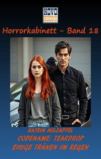 Codename: Teardrop Eisige Tränen im Regen - Katrin Holzapfel - E-Book
