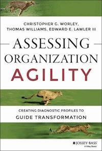 Assessing Organization Agility - Christopher G. Worley - E-Book