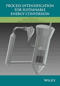 Process Intensification for Sustainable Energy Conversion - Fausto Gallucci - E-Book