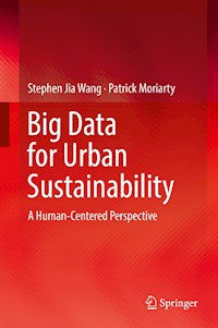 Big Data for Urban Sustainability - Stephen Jia Wang - E-Book