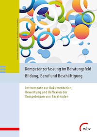 Kompetenzerfassung im Beratungsfeld Bildung, Beruf und Beschäftigung - Christiane Schiersmann - E-Book