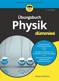 Übungsbuch Physik für Dummies - Steven Holzner - E-Book