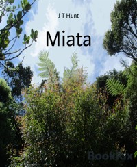 Miata - J T Hunt - E-Book