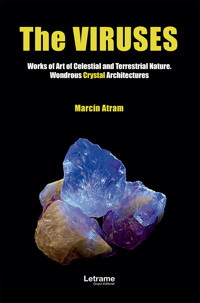 The viruses - Marcín Atram - E-Book