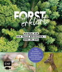 Forst erklärt: Warum wir den Wald brauchen – und er uns -  - E-Book