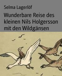 Wunderbare Reise des kleinen Nils Holgersson mit den Wildgänsen - Selma Lagerlöf - E-Book