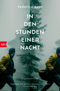 In den Stunden einer Nacht - Federico Axat - E-Book