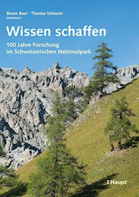 Wissen schaffen - Bruno Baur - E-Book