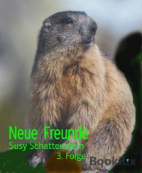 Neue Freunde - Susy Schattenstein - E-Book