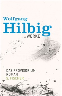 Werke, Band 6: Das Provisorium - Wolfgang Hilbig - E-Book