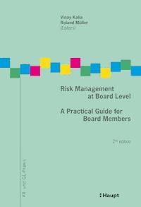 Risk Management at Board Level - - E-Book