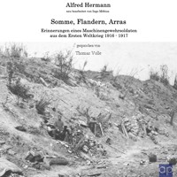Somme, Flandern, Arras - Ingo Möbius - Hörbuch