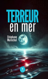 Terreur en mer - Stéphane Maréchal - E-Book
