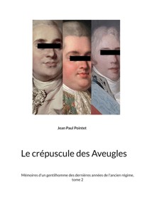 Le crépuscule des Aveugles - Jean Paul Pointet - E-Book