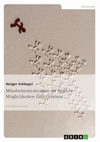 Mitarbeitermotivation im Betrieb: Möglichkeiten und Grenzen - Holger Schlegel - E-Book