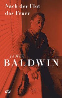 Nach der Flut das Feuer - James Baldwin - E-Book