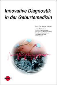 Innovative Diagnostik in der Geburtsmedizin - Holger Stepan - E-Book