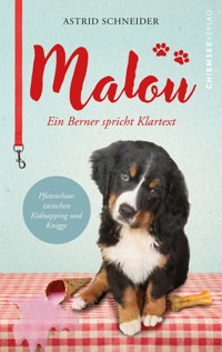 Malou - ein Berner spricht Klartext - Astrid Schneider - E-Book