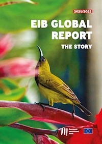 EIB Global Report: The Story -  - kostenlos E-Book