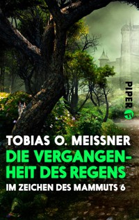 Die Vergangenheit des Regens - Tobias O. Meißner - E-Book