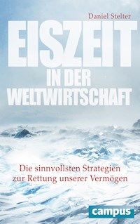 Eiszeit in der Weltwirtschaft - Daniel Stelter - E-Book
