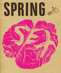 SPRING#16 - SEX - Larissa Bertonasco - E-Book