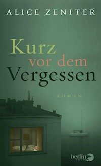 Kurz vor dem Vergessen - Alice Zeniter - E-Book