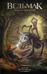 Дорога без возврата - Сапковский Анджей - E-Book