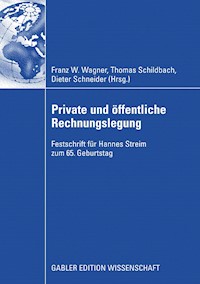 Private und öffentliche Rechnungslegung -  - E-Book