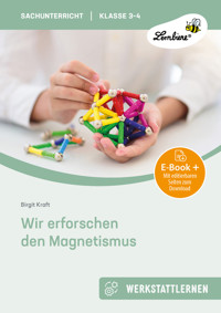 Wir erforschen den Magnetismus - Birgit Kraft - E-Book