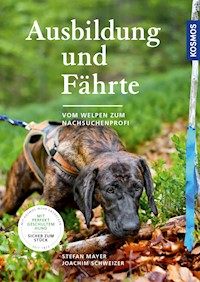Ausbildung und Fährte - Stefan Mayer - E-Book