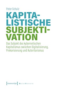 Kapitalistische Subjektivation - Peter Schulz - E-Book