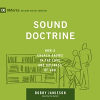 Sound Doctrine - Bobby Jamieson - Hörbuch